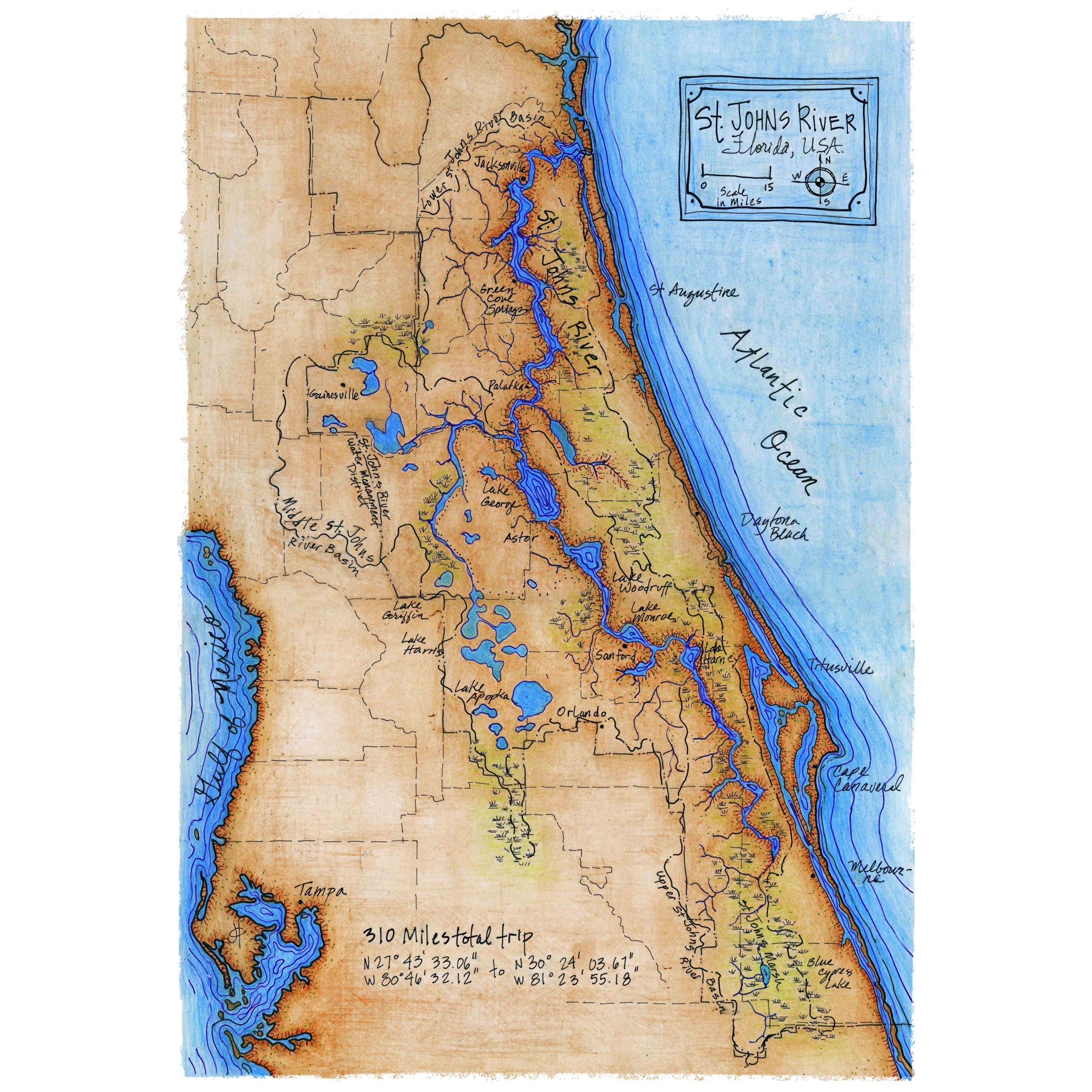 St. Johns River Map (310 Miles) Julie C. Fetzer ART